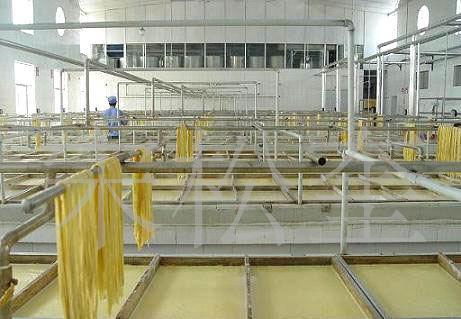 豆制品深加工及食品機械制造項目可行性研究報告