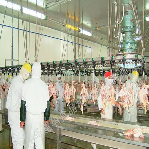 屠宰設備_屠宰機械_屠宰流水線-青島建華食品機械制造